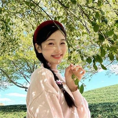小马王自由奔驰