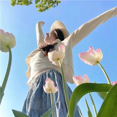 野性钻石